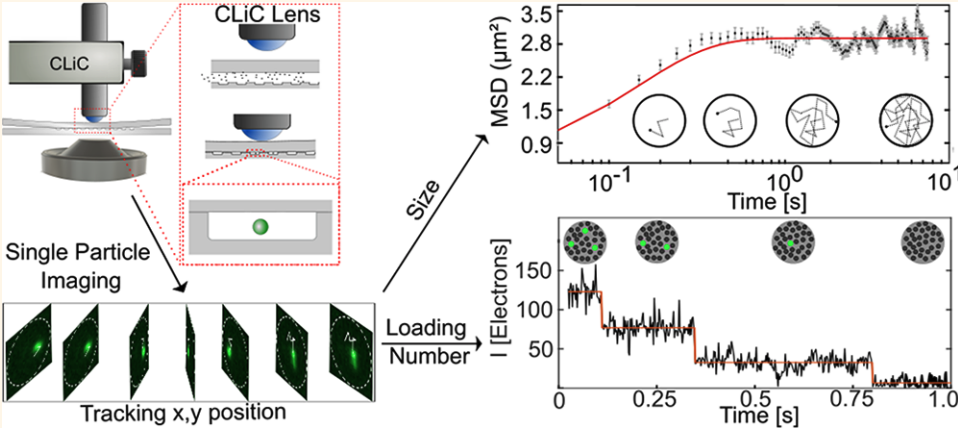 ACS Nano nanoparticle teaser image