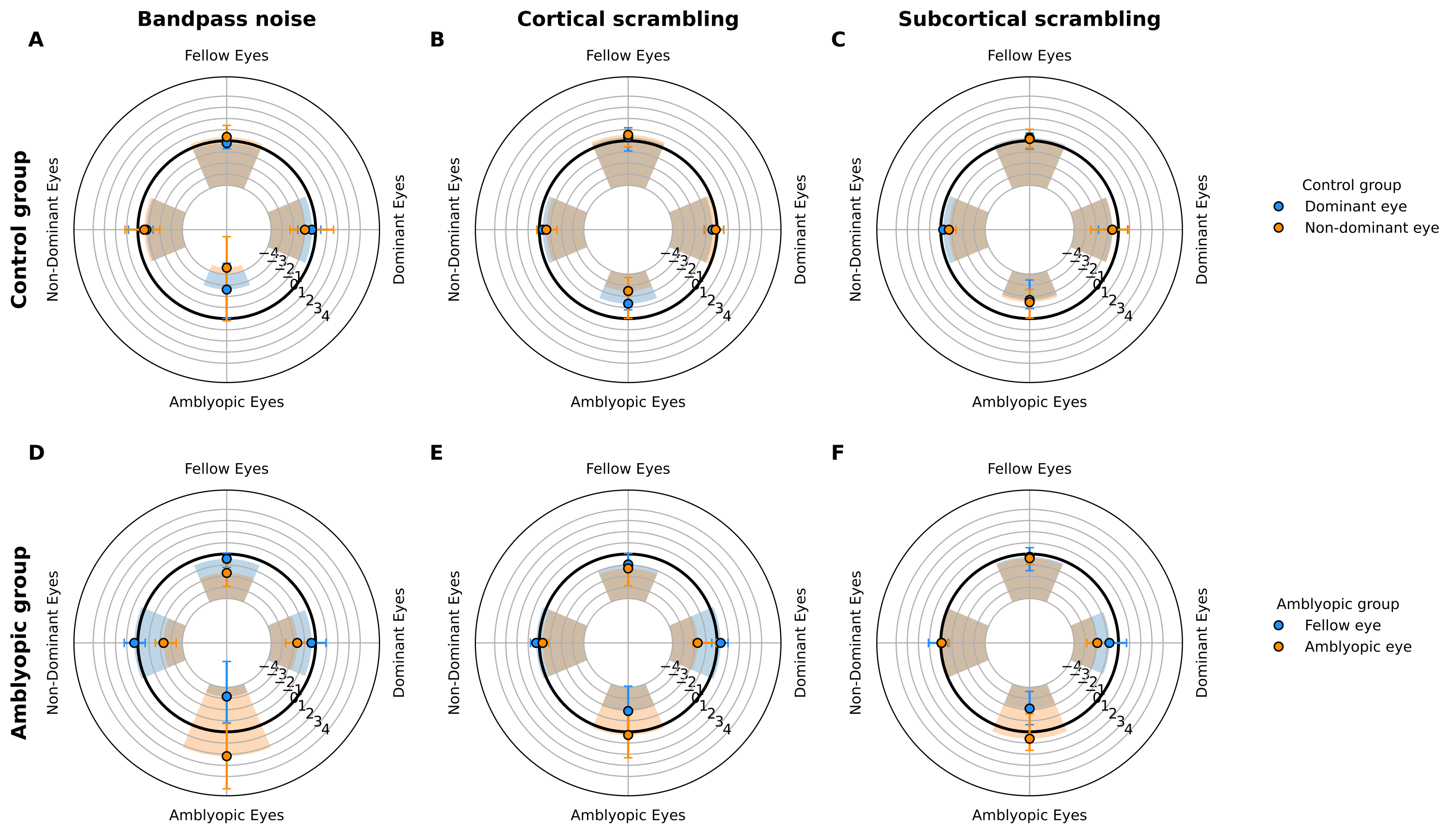 Amblyopic acuity spatial scrambling